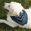 Howler Posse Bandana