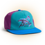 Dolphin Dimensions Snapback