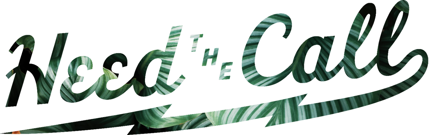 Newsletter image