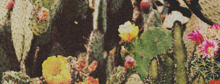 Cactus Mob