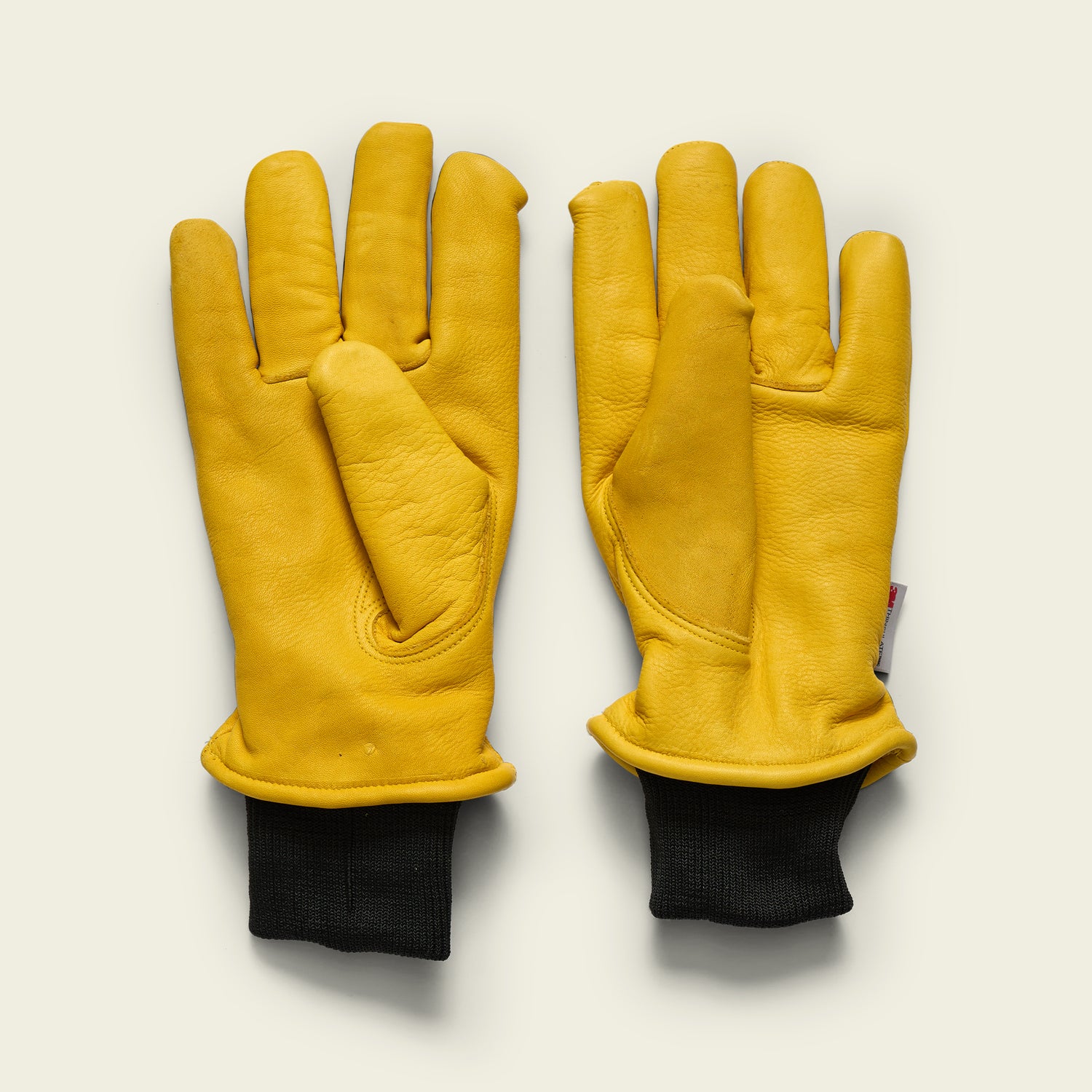 Skulls n’ Begonias Gloves - View 4