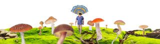Hero banner image