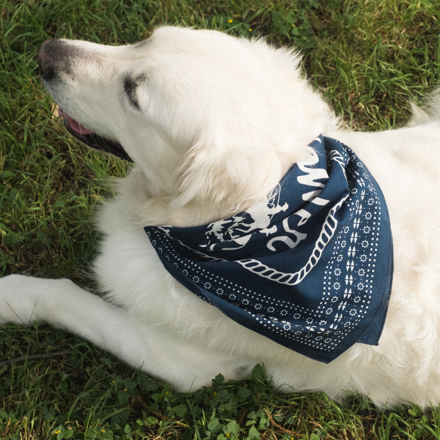 Howler Posse Bandana - View 2