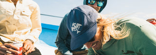 Fresh Catch Collection