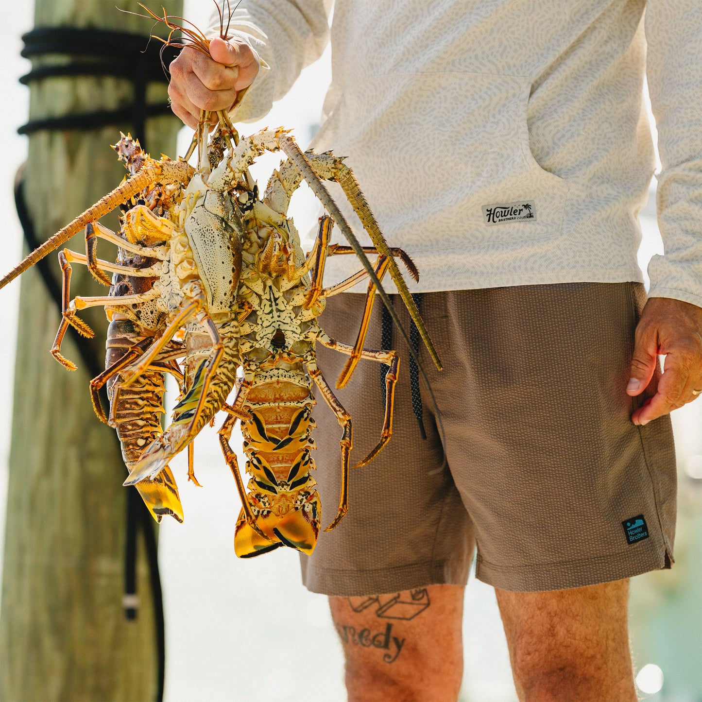 Loggerhead Hoodie - Pond Patterns : Bone - View 7