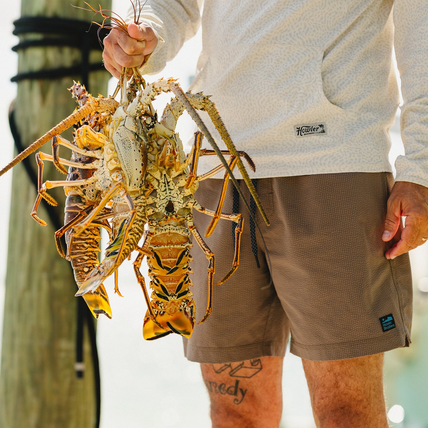 Loggerhead Hoodie - Pond Patterns : Bone - View 7