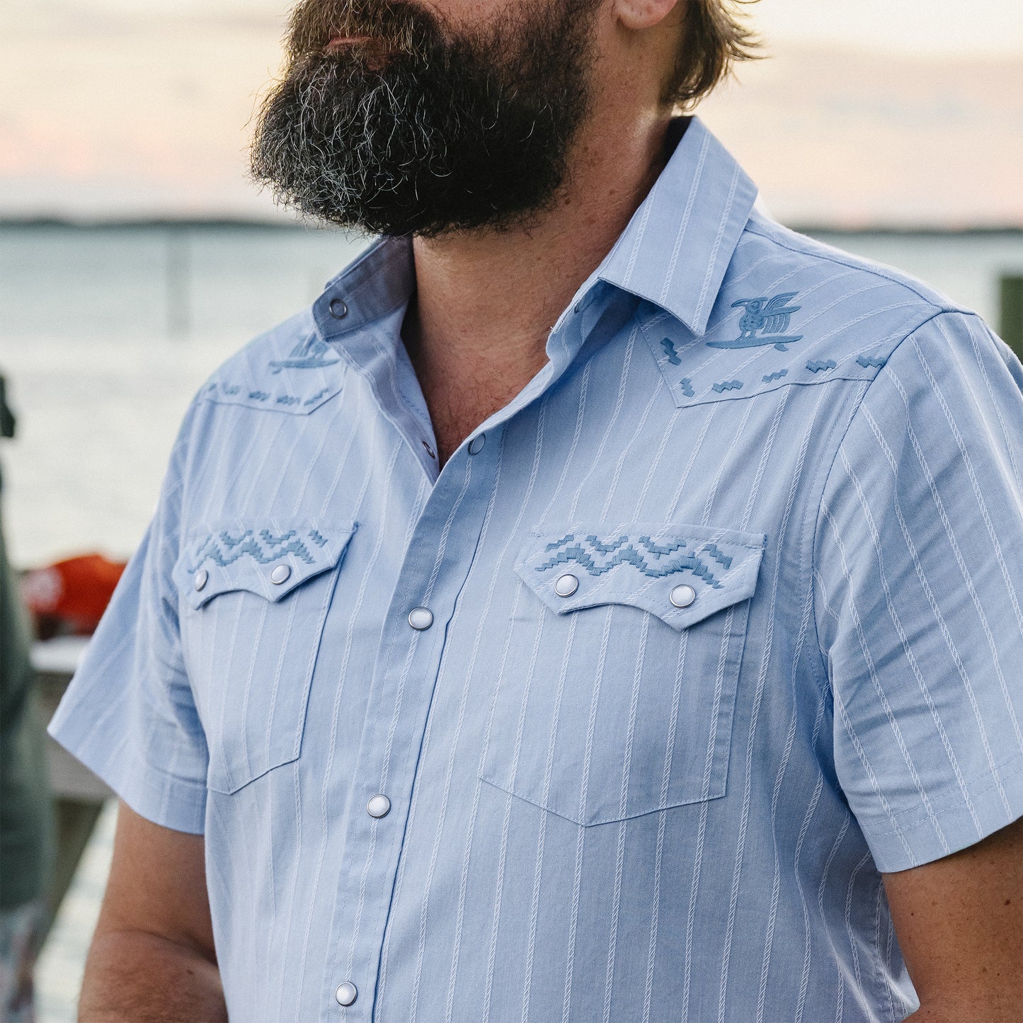 Crosscut Deluxe Shortsleeve Shirt - Surfbird : Sky Oxford Dobby - View 2
