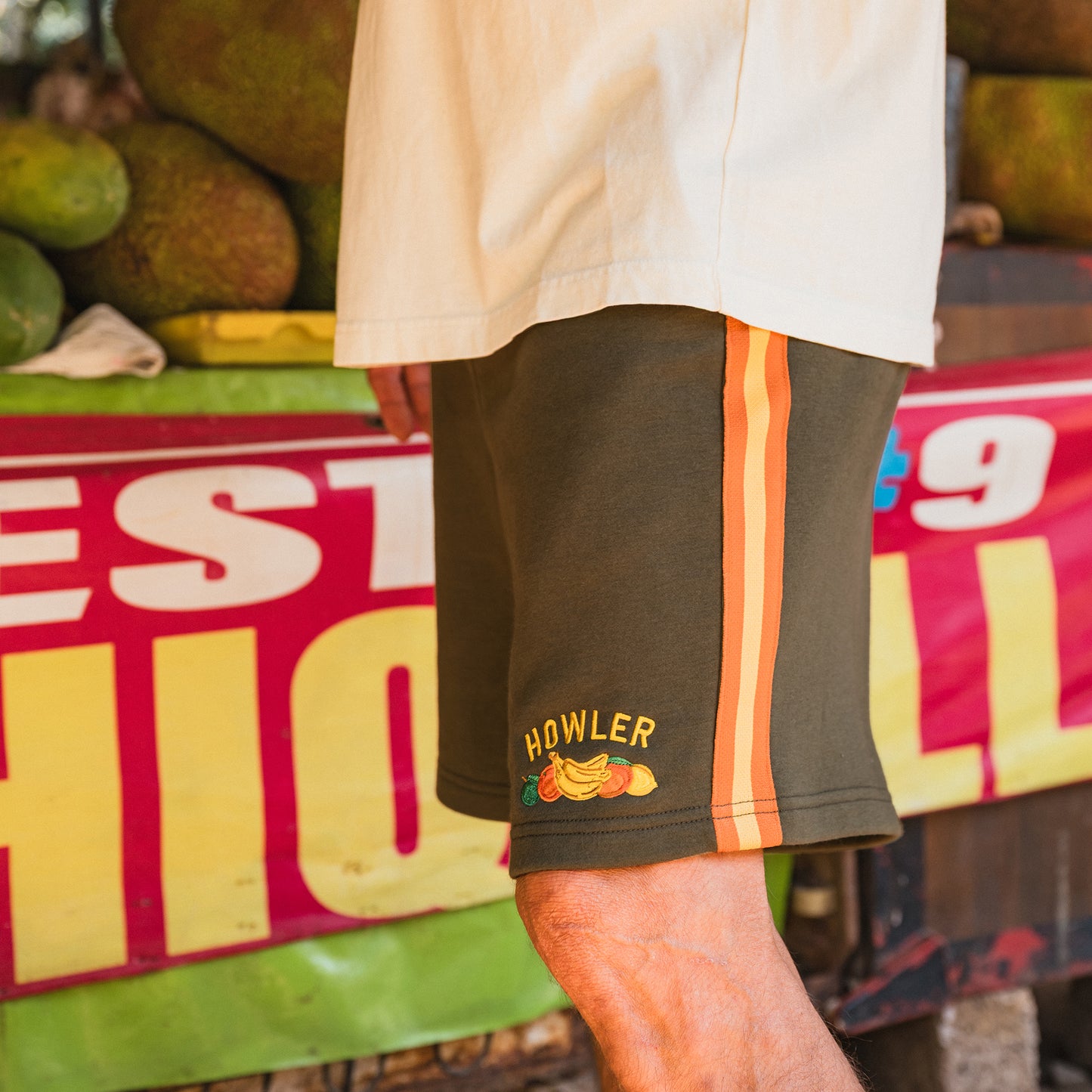 Frutería Palmetto Chill Shorts - Jungle - View 2