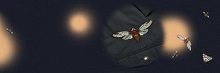 Cicadas