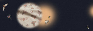 Summer Swarm