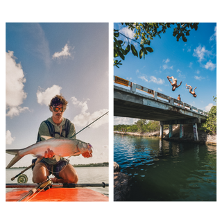Side by side image