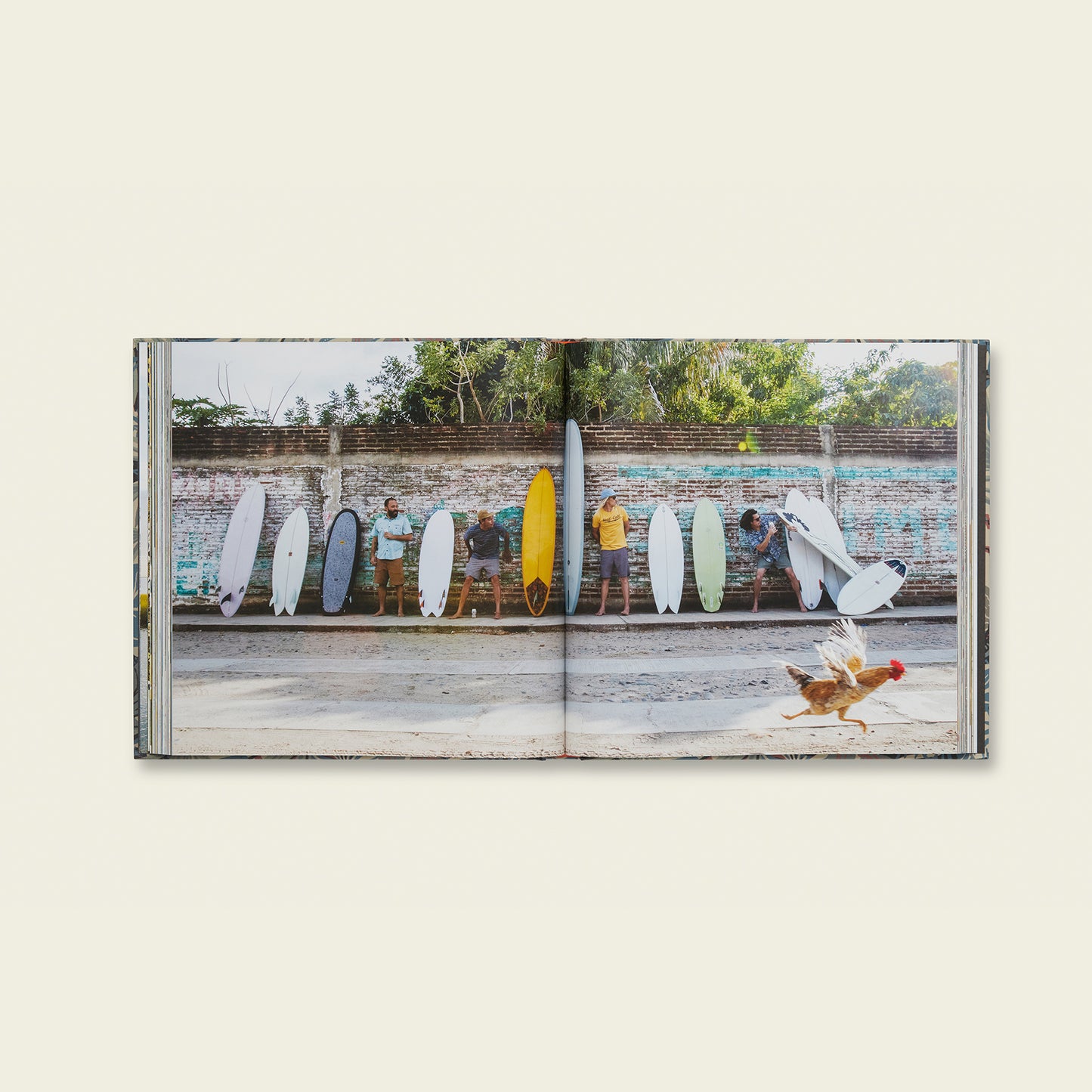 A Decade of Howler Brothers Book - View 5